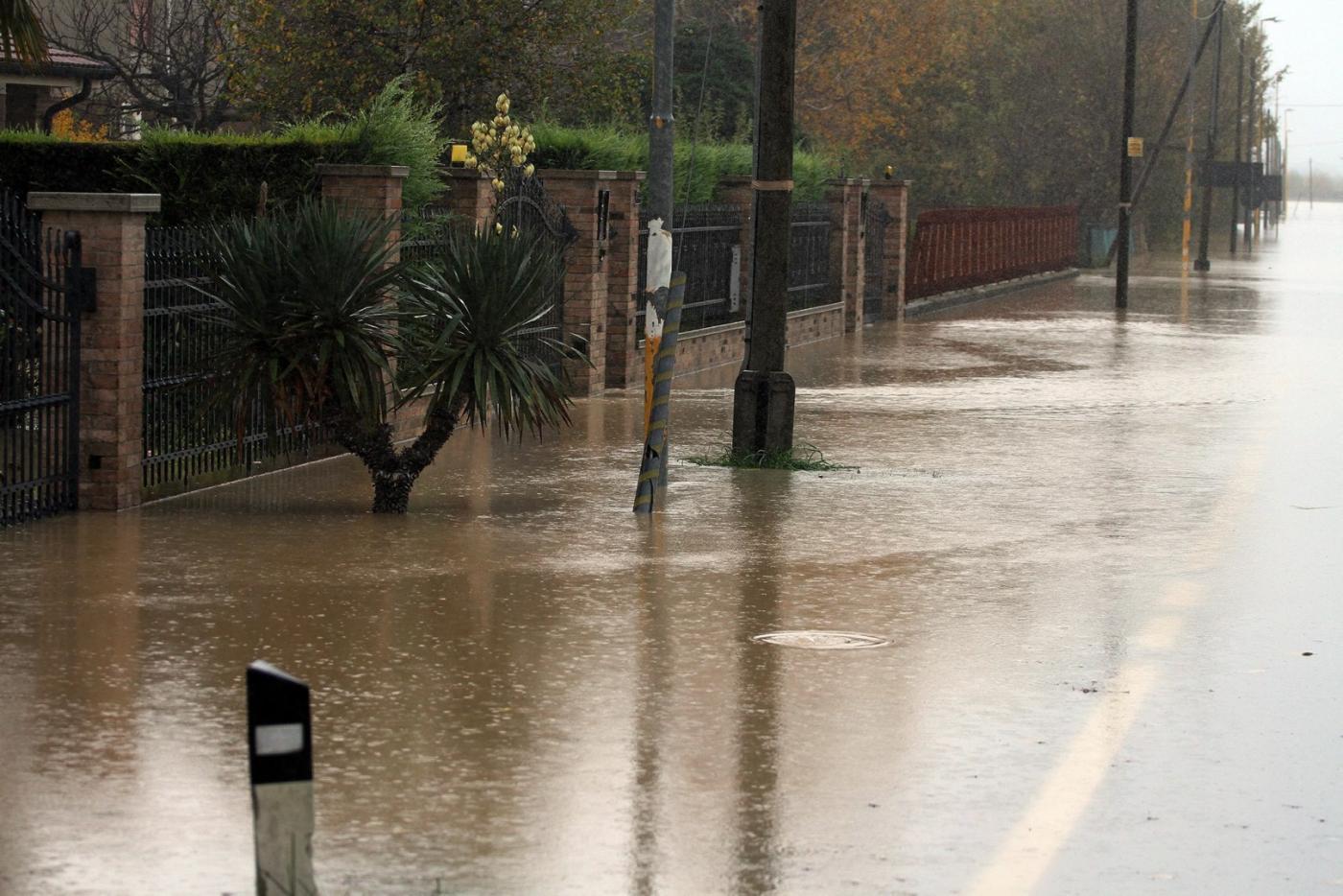 small_110202-095905_mi021110cro_0074