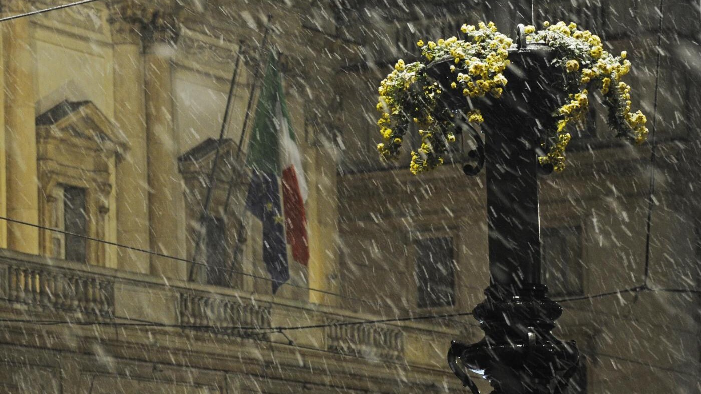 Immagine