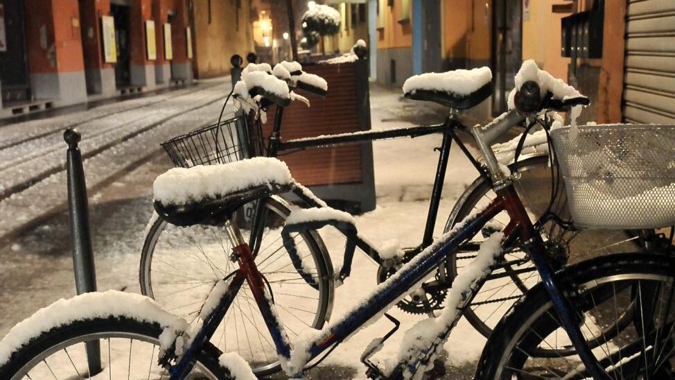 Immagine