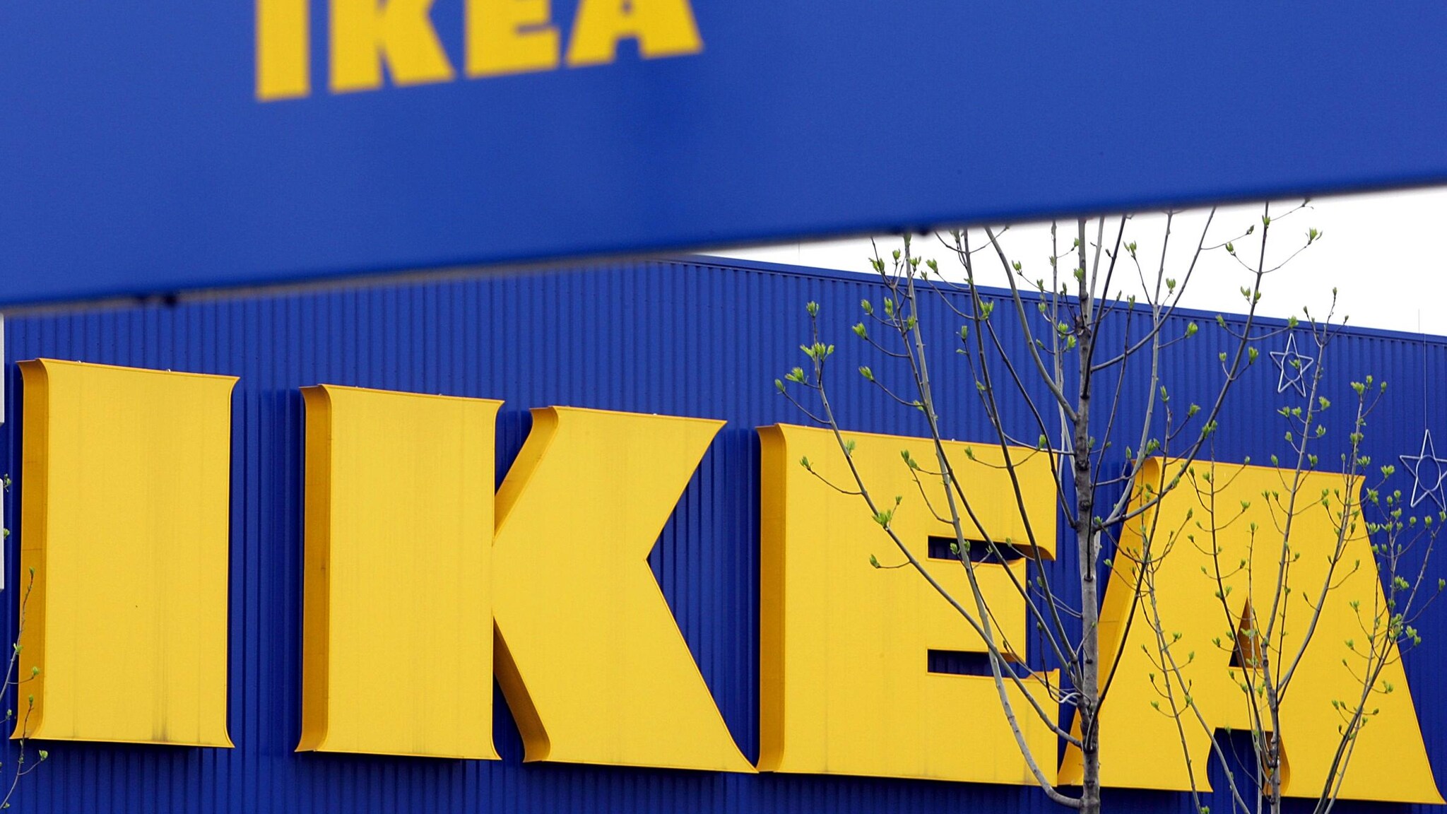 Dopo la denuncia delle polpette contenenti carne di cavallo Ikea torna nel mirino per altre “specialità” in vendita nei negozi, le sue torte al cioccolato, che conterrebbero tracce di escrementi.