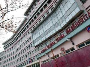 La bimba di tre anni e mezzo da più di un anno era ricoverata al Regina Margherita di Torino e viveva attaccata a un cuore artificiale. La settimana scorsa le hanno fatto incontrare il suo Black, stanotte per lei è arrivato anche un cuore nuovo.