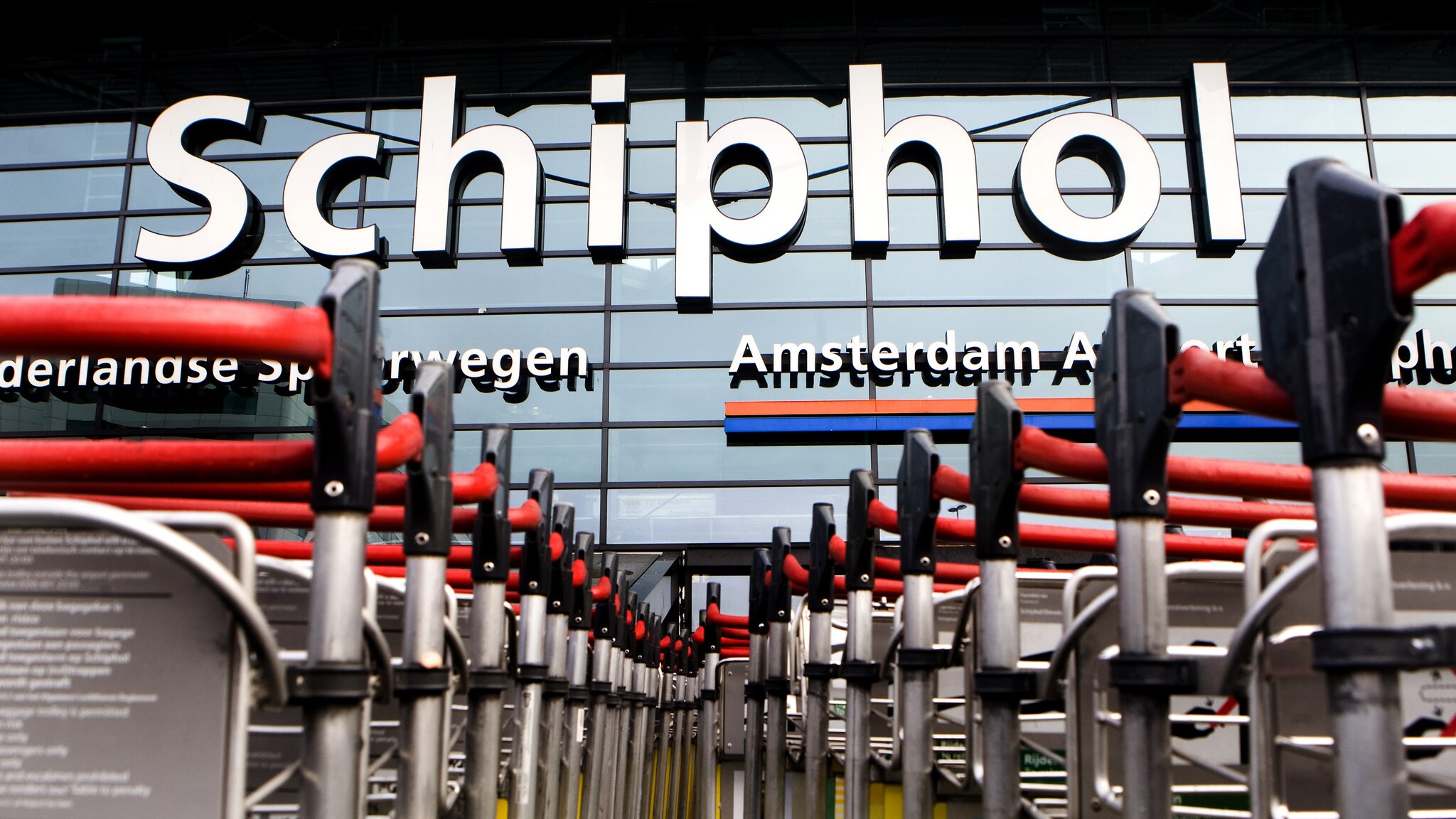 Questa settimana in Olanda saranno abbattute circa 10mila oche che vivono nei pressi dell’aeroporto Schiphol di Amsterdam. Una misura che suscita grandi polemiche tra gli animalisti che sottolineano l’esistenza di altri metodi per salvare gli aerei.