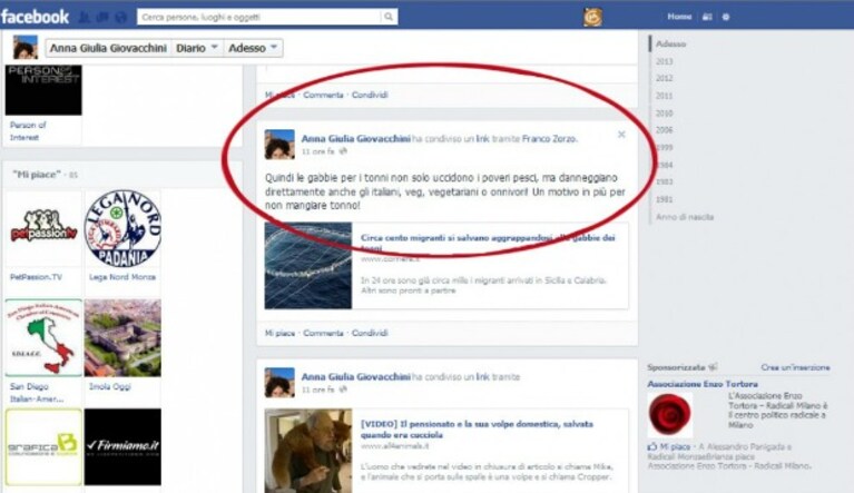 Immagine