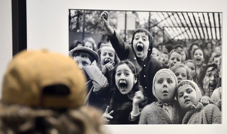 Immagine