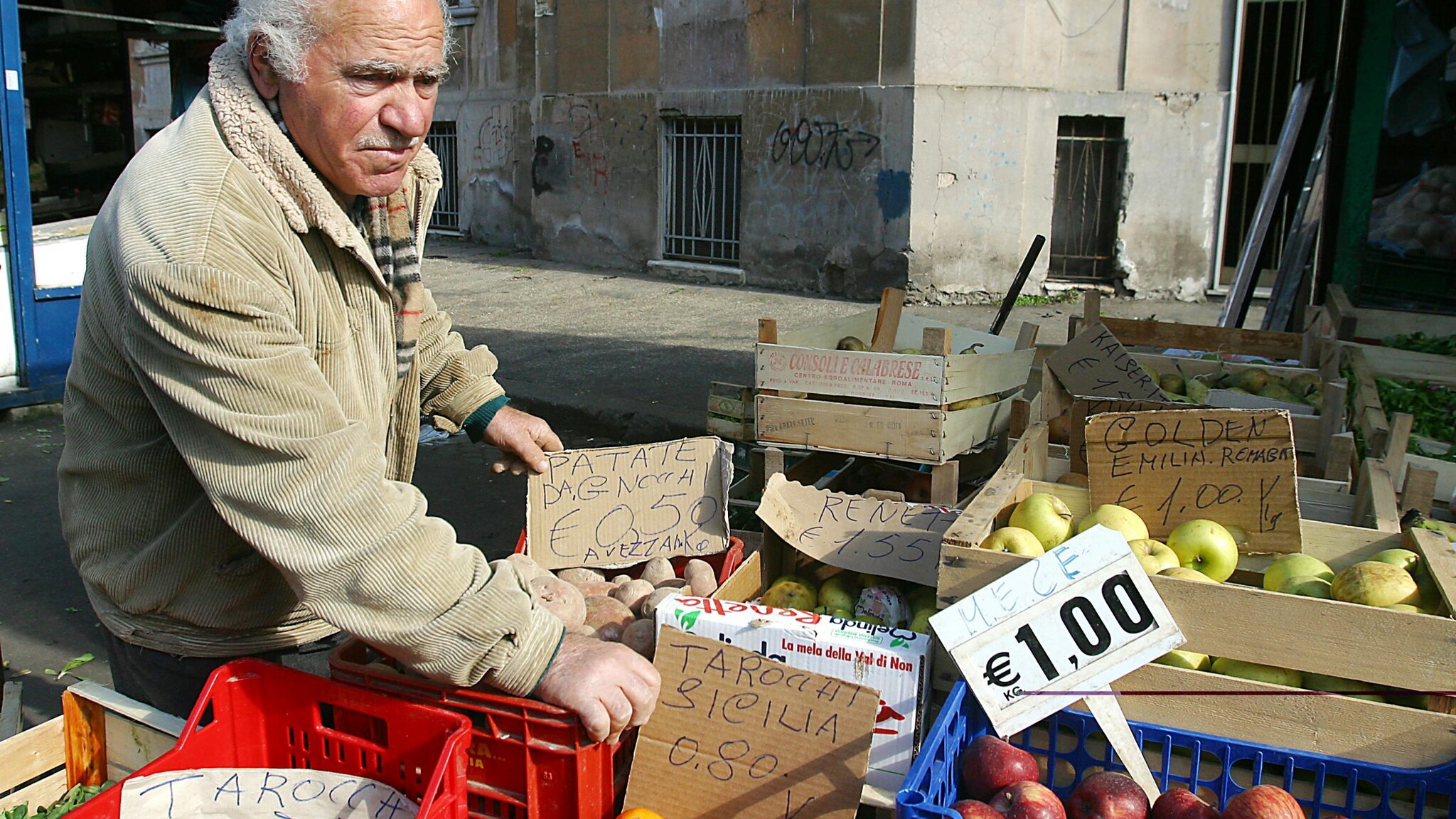 Immagine
