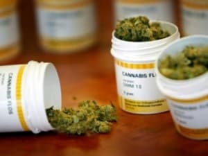 cannabis puglia uso terapeutico