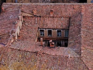 E Ratificabile Il Recesso Del Conduttore