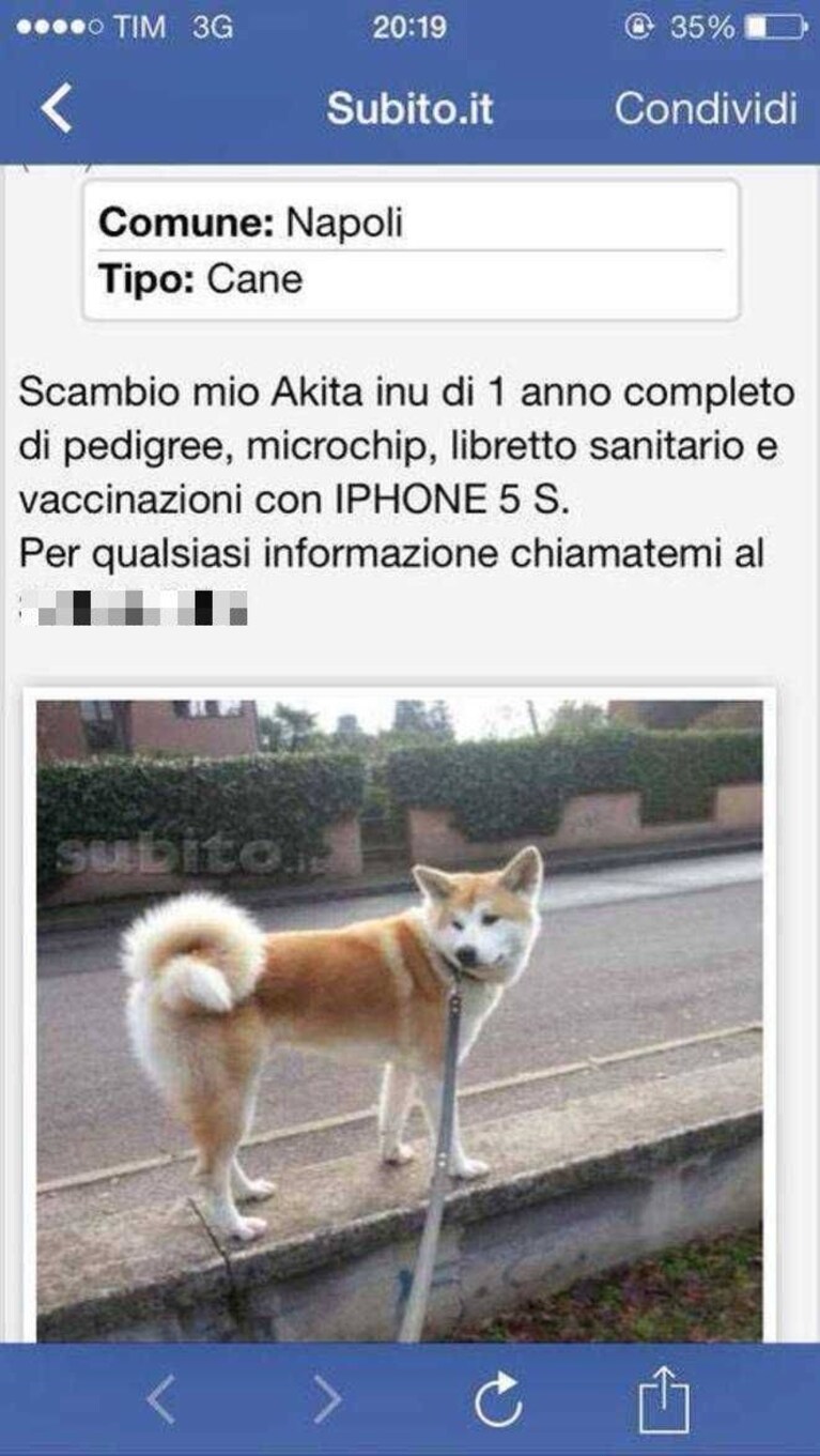 Immagine