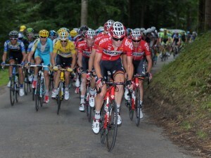 tony gallopin