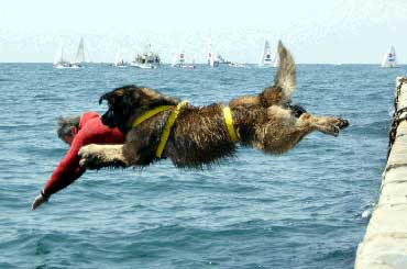 Immagine di repertorio