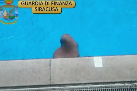 Immagine