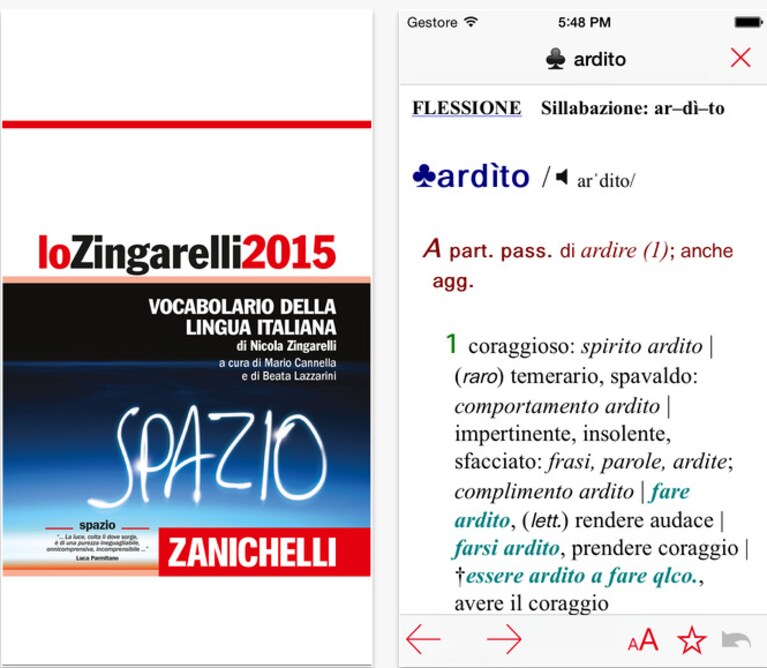 Immagine