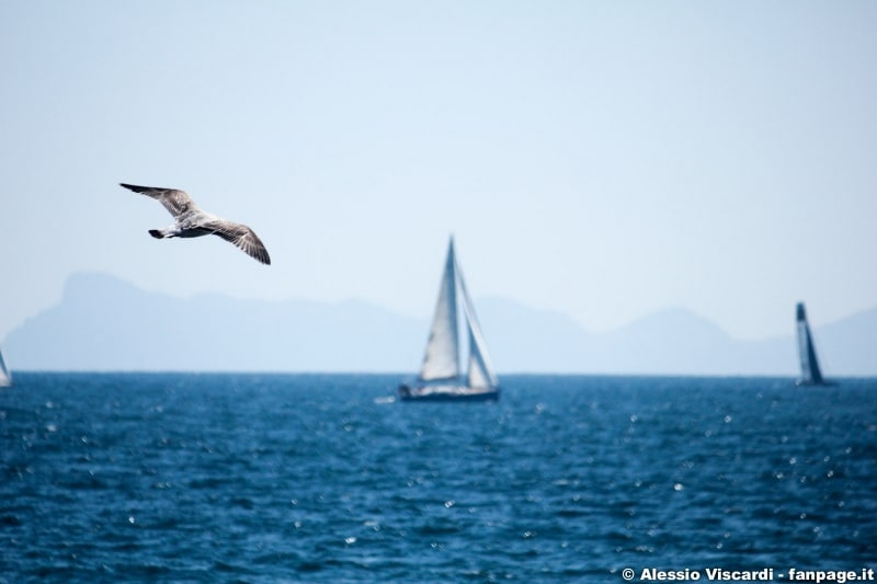 acnapoli-catamarani-11