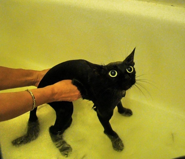 L\'acqua no!