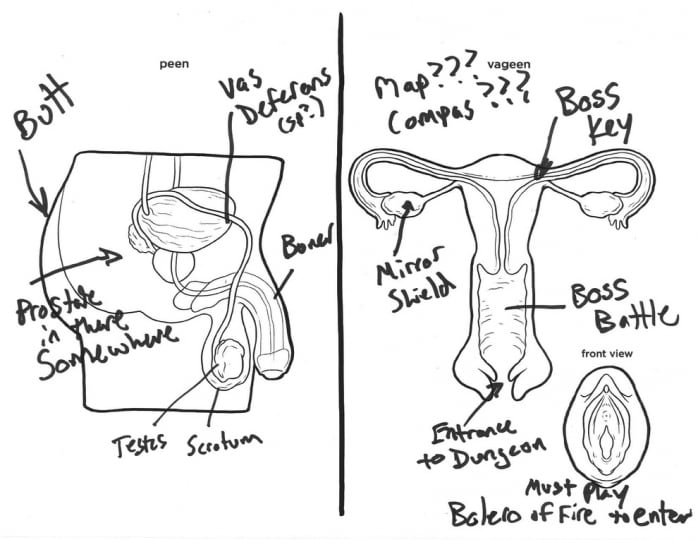 Giochi di ruolo ... e anatomia