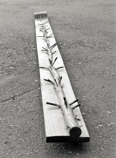 Giuseppe Penone, Albero di 3,50 metri, 1970