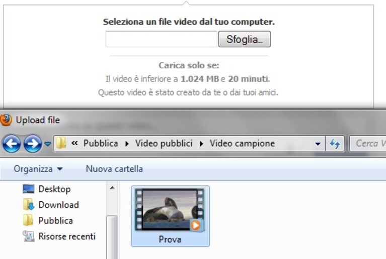 Immagine