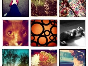 instagram collage