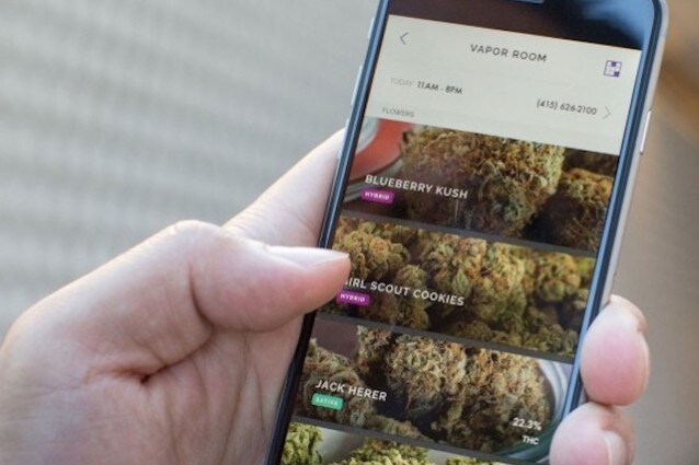 Meadow, l’Uber della cannabis permette di acquistare marijuana dal proprio smartphone