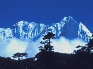himalaya vette