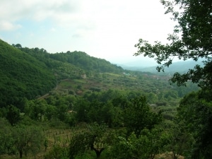 Parco_Cilento