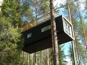 Ecco una delle stanze del singolare Tree Hotel in Svezia