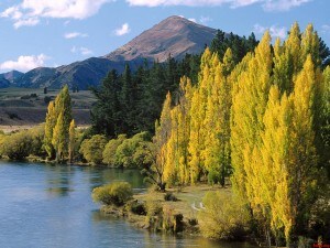 Lago Wanaka