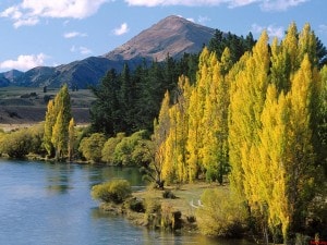 Lago Wanaka