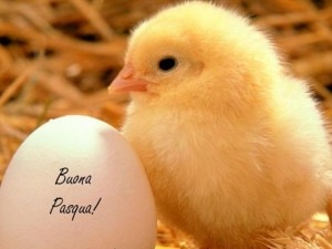 Pasqua