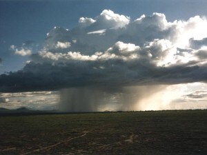 kenya meteo