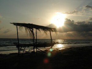 quanto costa il kenya