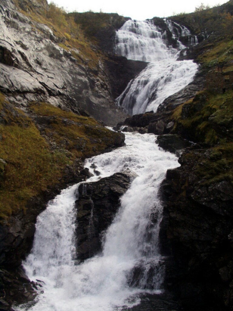 Norvegia