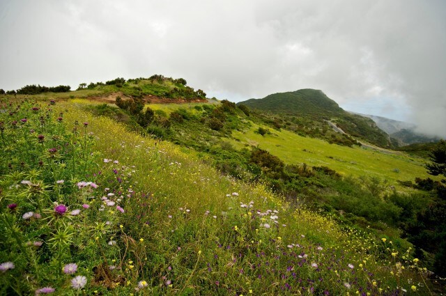 canarie la gomera garajonay