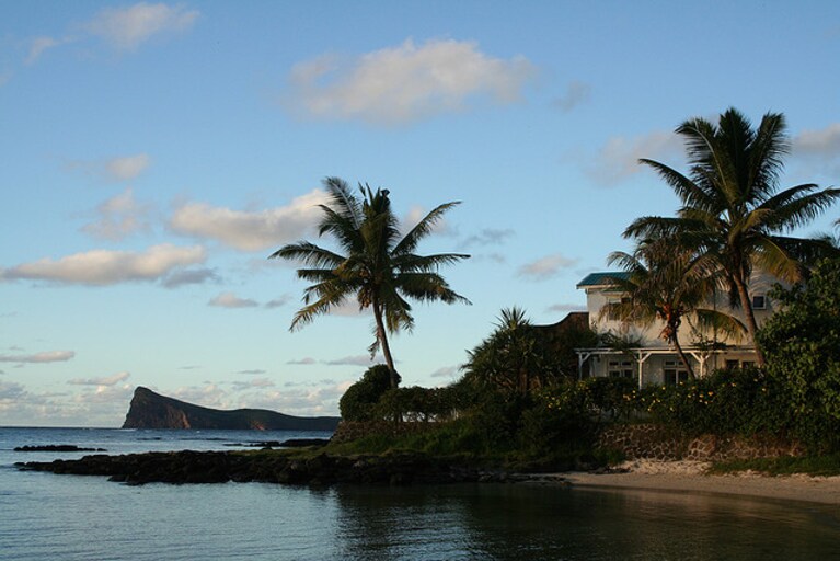 tropici