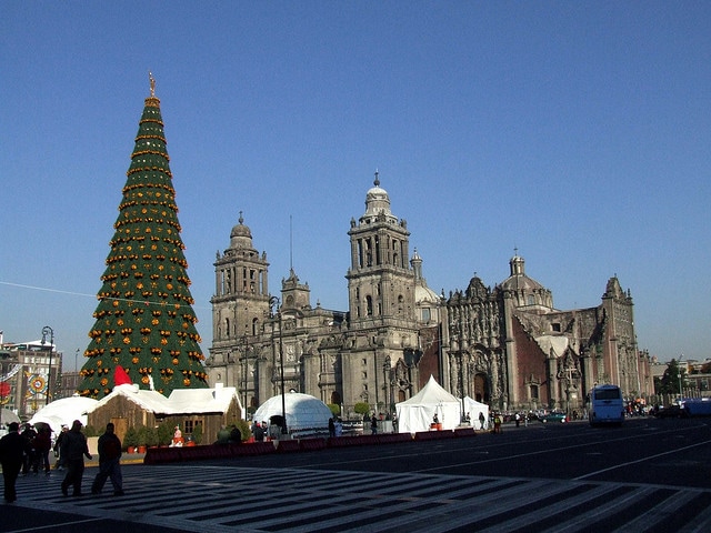 alberi di natale città del messico