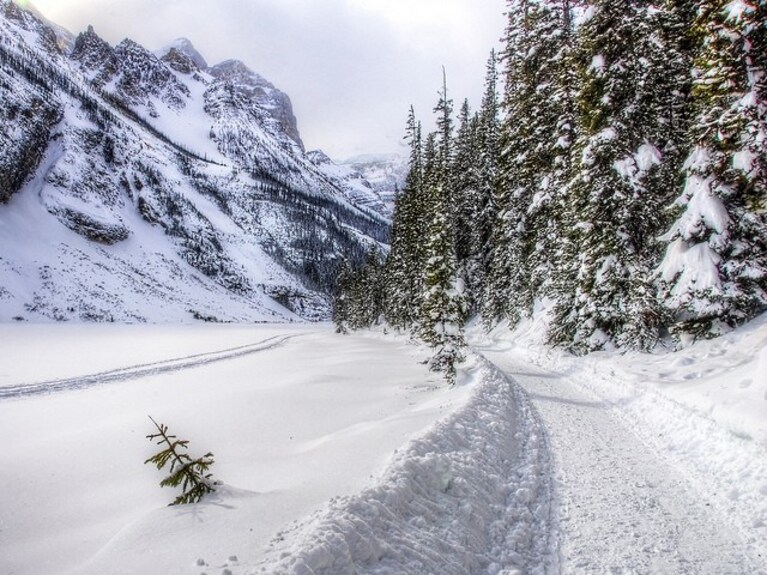 canada sci lake louise