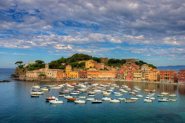 Immagine