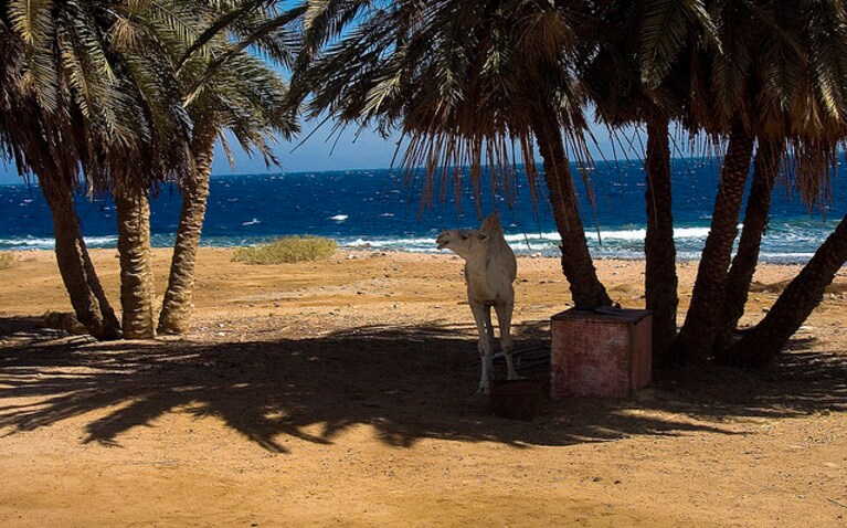 Sharm el Sheikh escursioni