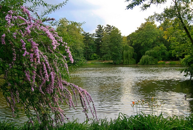 Łazienki Park di Varsavia
