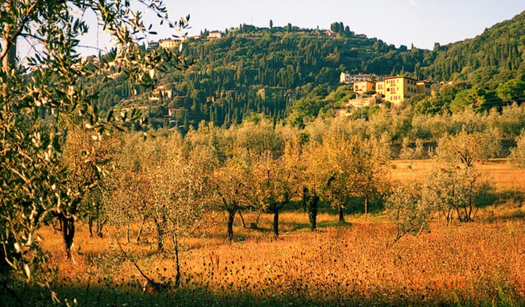 fiesole