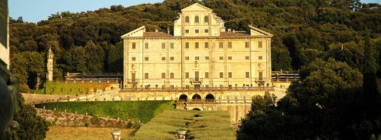 frascati