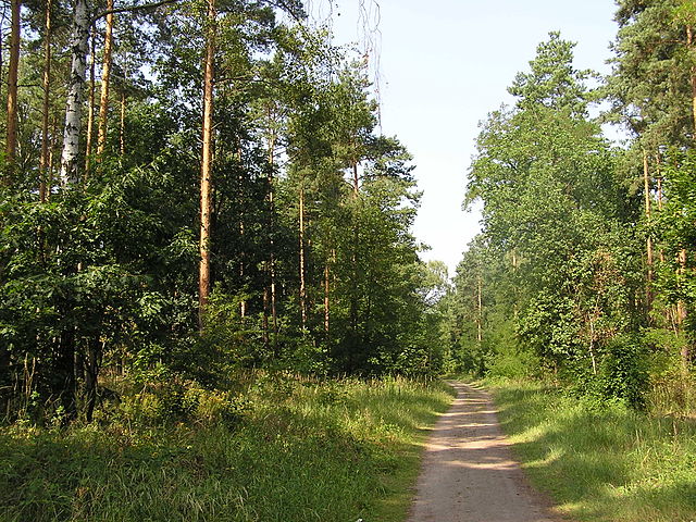 Foresta di Grunewald, Berlino
