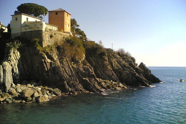 nervi
