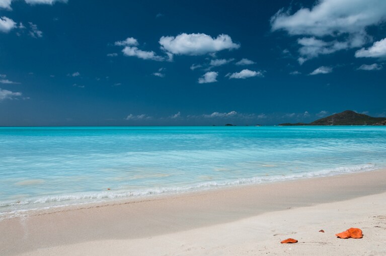 caraibi