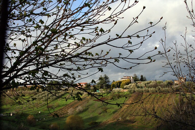 ponte di pasqua