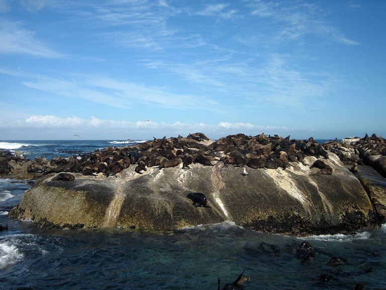 viaggi di nozze sud africa