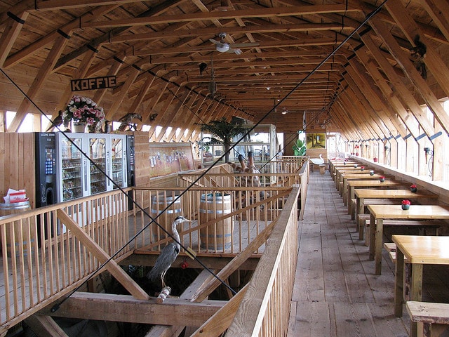 interno arca di noè olanda