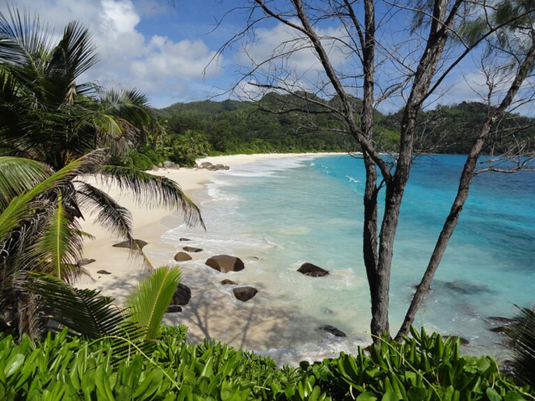 seychelles luna di miele