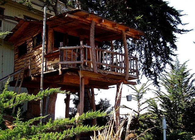 tree house