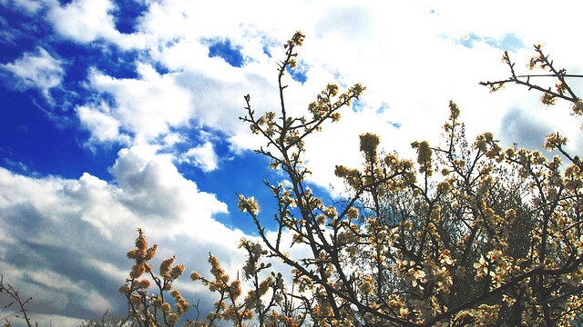 vacanze primavera